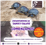 INICIO CAMPAÑA CROWDFUNDING 2025 CST